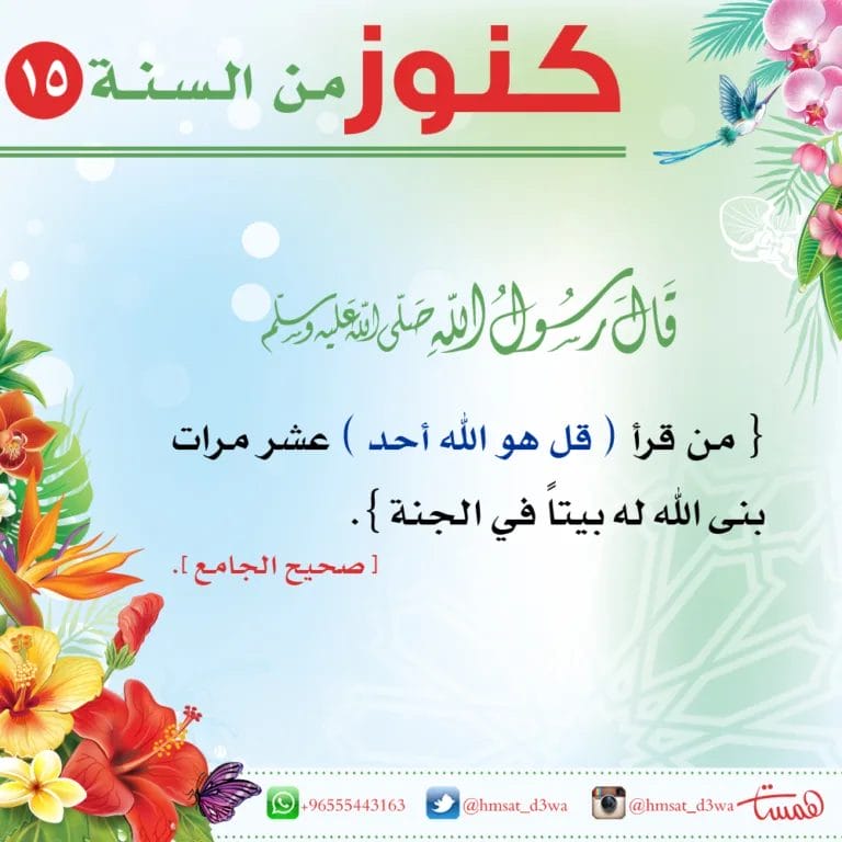 كنوز من السنة